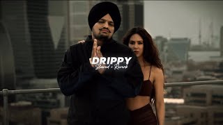 Drippy  Slowed  Reverb   Sidhu Moose Wala  Mxrci  AR Paisley [upl. by Blythe]