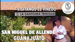 ¿Cómo es el tour guiado en viñedo La Santísima Trinidad San Miguel de Allende Guanajuato 2024 [upl. by Euk65]