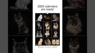 2025 calendars are ready [upl. by Llecrup]