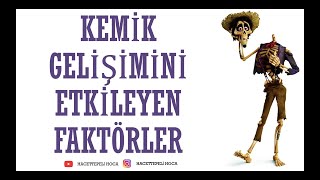 215 DESTEK VE HAREKET SİSTEMİ4 KEMİK GELİŞİMİNİ ETKİLEYEN FAKTÖRLER 11 SINIF  AYT [upl. by Micky13]