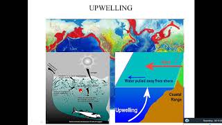 MSc III Sem Micropaleontology and Oceanography Unit 1 Lecture 2 [upl. by Ainoval]