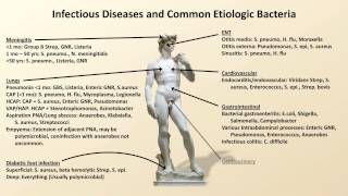 Bacterial Etiologies of Common Infections Antibiotics  Lecture 2 [upl. by Hamehseer]