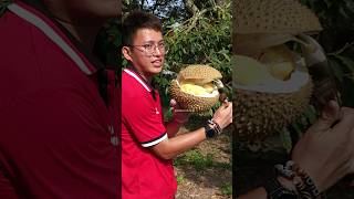 Unboxing Durian by Malacca Durian Cutting Master [upl. by Ennaillij]