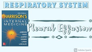 PLEURAL EFFUSION  Causes  Approach  Diagnostic Algorithm  Harrison [upl. by Unity]