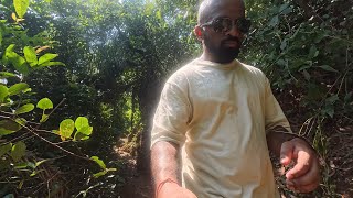 Silent Beach Trek  Gokarna [upl. by Neelrac]