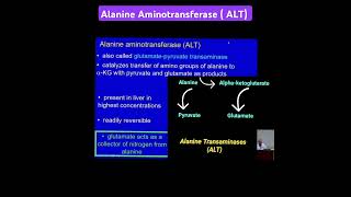 Alanine Transaminase ALT Metabolism Made Easy [upl. by Ahsuatan553]