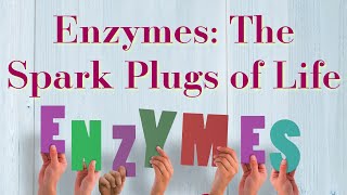 Enzymes The Spark Plugs of Life [upl. by Fazeli304]