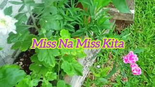 Miss Na Miss Kita Lyrics Minus One Instrumental  Father amp Sons [upl. by Leirbma946]