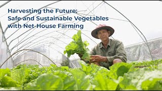 Harvesting the Future Safe and Sustainable Vegetables with NetHouse Farming [upl. by Raphael355]