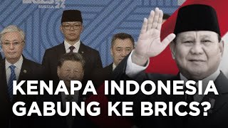 Memahami BRICS dan Pengaruhnya [upl. by Allerbag]