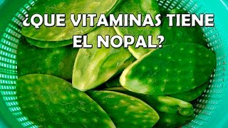 Vitaminas del Nopal  Y para que Sirven  Los Nutrientes del Nopal [upl. by Melville]