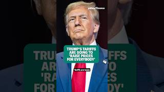 Trump’s tariffs are going to ‘raise prices for everybody’ shorts [upl. by Lladnek]