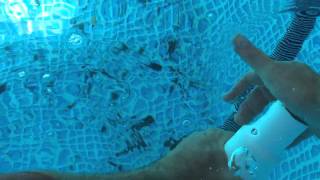 Vacuuming Intex pool using the siphoning method [upl. by Colston917]