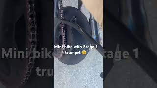 Mini bike with Amazon trumpet exhaust 🤯 minibike minibikelife exhaustpipe bikelife [upl. by Britton]