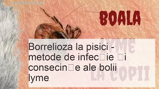 Borrelioza la pisici  metode de infecție și consecințele bolii Lyme [upl. by Johnathon]