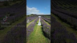 Lavender field 💜 [upl. by Ambros889]