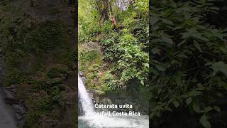 Cliff Jumping Costa Rica cliffjump cliffjumping costarica waterfall adrenalinerush adrenaline [upl. by Novikoff613]