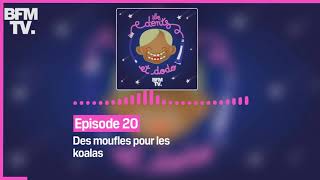 Episode 20  Des moufles pour les koalas  Les dents et dodo [upl. by Dickie]