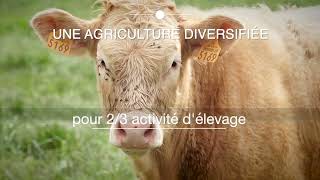 2024  Lagriculture ardennaise  un véritable acteur économique [upl. by Inalem]