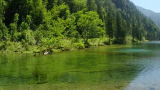 Spaziergang am Förchensee I Chiemgauer Alpen [upl. by Ttelrahc]