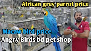 African grey parrot  Macaw bird price in Angry Birds bd pet shop exoticpetsbd [upl. by Demaggio370]