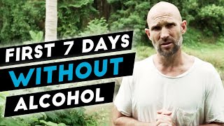 What Happens In The First 7  10 Days After You Quit Drinking Alcohol [upl. by Dnalkrik]