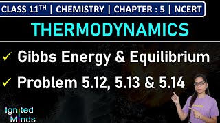 Class 11th Chemistry  Gibbs Energy Change amp Equilibrium  Problem 512 513 amp 514  Chapter 5 [upl. by Niawd]