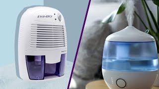 Air Purifier Vs Humidifier Difference and Comparison  All You Need To Know [upl. by Anilesor]