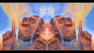 The Transformations Of LanguageTerence McKenna FULL [upl. by Oralle815]