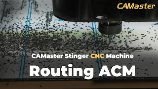 CAMaster Stinger CNC Machine Routing ACM [upl. by Nitnelav]