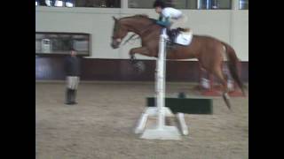 Mclain Ward clinic  over fences part 2 [upl. by Ecadnarb]