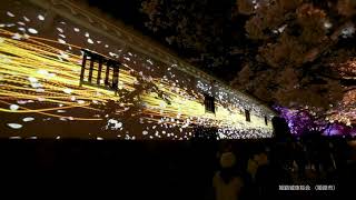 夜桜会 HImeji castle [upl. by Mccahill]