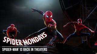 What If Many SPIDERMAN in 1 HOUSE  SPIDERMANs Story New Season 3  All Action Funny [upl. by Mic]