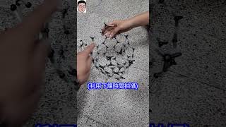 如何選擇巴克球碳60四幸丸老師的理化科學Vlog [upl. by Anees970]