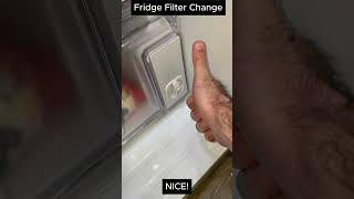 Fridge Water Filter Change  Do it Yourself [upl. by Joao]