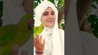 Parrot ne Kati kar li🤣👽 parrot birds cute lovebirds yt shorts [upl. by Young]