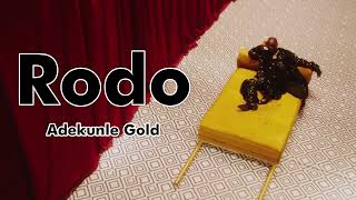 Adekunle Gold  Rodo Lyrics video [upl. by Chandless]