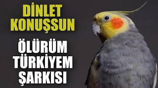 DİNLET ÖTSÜN Sultan Papağanı Ölürüm Türkiyem 45 Dk uzunluğunda DİNLET KONUŞSUN [upl. by Anairda]