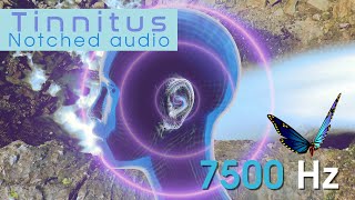 Tinnitus Sound Therapy  7500 Hz Epic Waterfall [upl. by Ala]