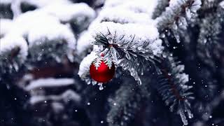 Red and Silver Christmas decorations 4K background [upl. by Ynnam]