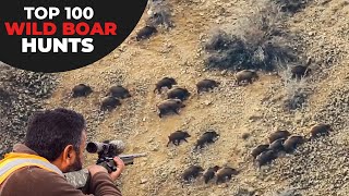 TOP 100 WILD BOAR HUNTS  EN İYİ 100 DOMUZ AVI  CHASSE AU SANGLIER [upl. by Schriever]