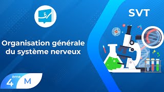 BacMaths  SVT  Organisation générale du système nerveux [upl. by Nilyahs280]