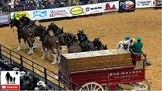 Clydesdale Wagon Team Mishap  2019 WRCA World Championship Ranch Rodeo Friday [upl. by Ruthanne]