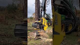 Tree cutting machine [upl. by Merrill]