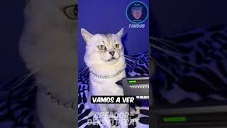 Real o Falso el gato que ladra viral fandub shorts gatos lindo risas gato fypシ fyp español [upl. by Prent]