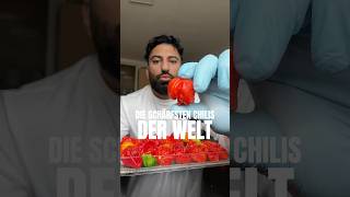 DIE SCHÄRFSTEN CHILIS 🌶️ rezept food [upl. by Checani107]