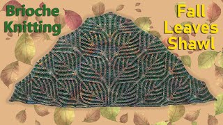 Brioche Knitting Fall Leaves Shawl knitting patterns [upl. by Sirromed]