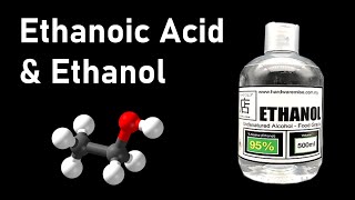 Ethanol and Ethanoic Acid Some Important Carbon Compounds  in Hindi for Class 10 [upl. by Branen]