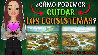 Acciones Para Cuidar los Ecosistemas [upl. by Linker]