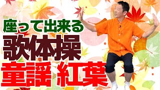 椅子に座って出来る【歌体操 秋の童謡「紅葉」】やさしいリズム体操 [upl. by Telracs]